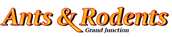 Grand Junction Ant Exterminator & Rodent Control Company Logo